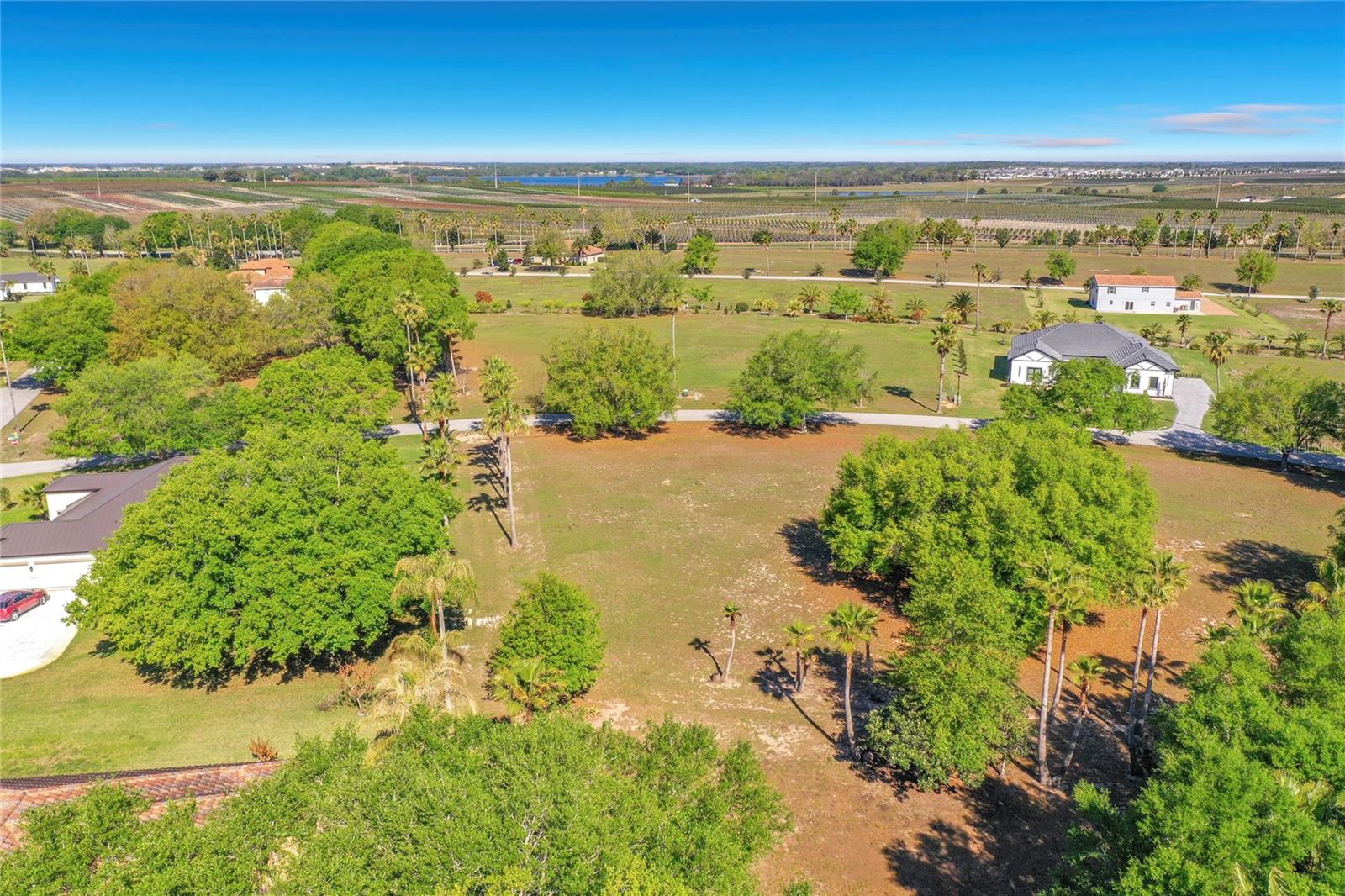 Image 11 of 30 For Marigold Street