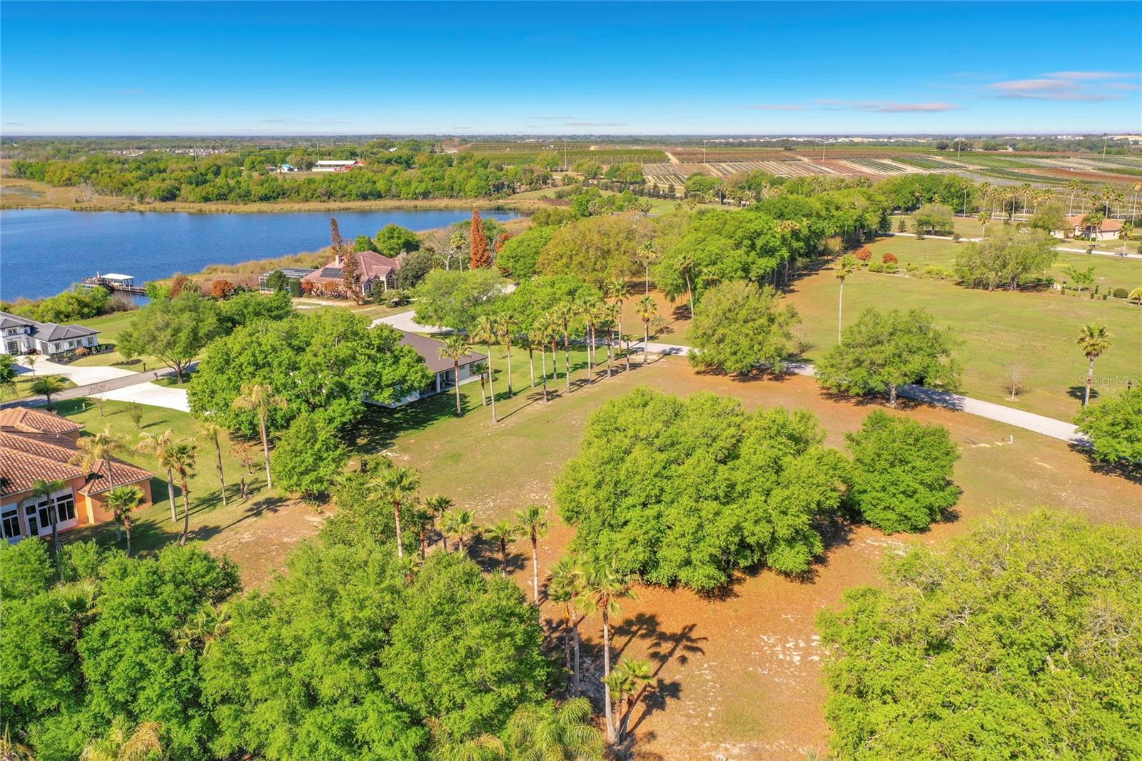 Image 12 of 30 For Marigold Street