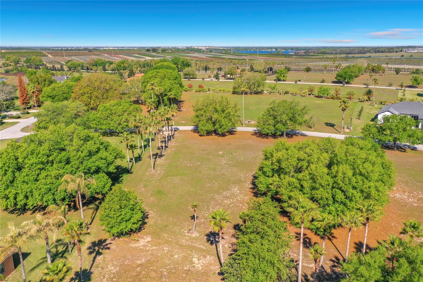 Image 13 of 30 For Marigold Street