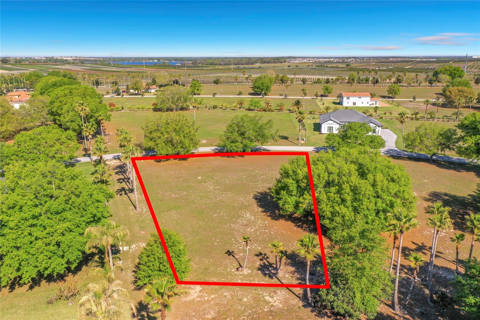 Image 3 of 30 For Marigold Street