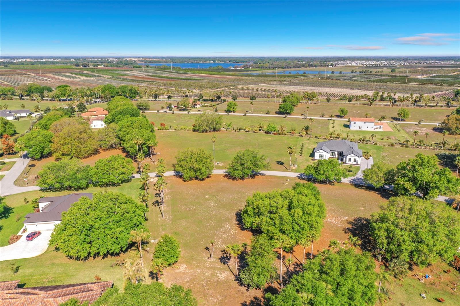 Image 8 of 30 For Marigold Street