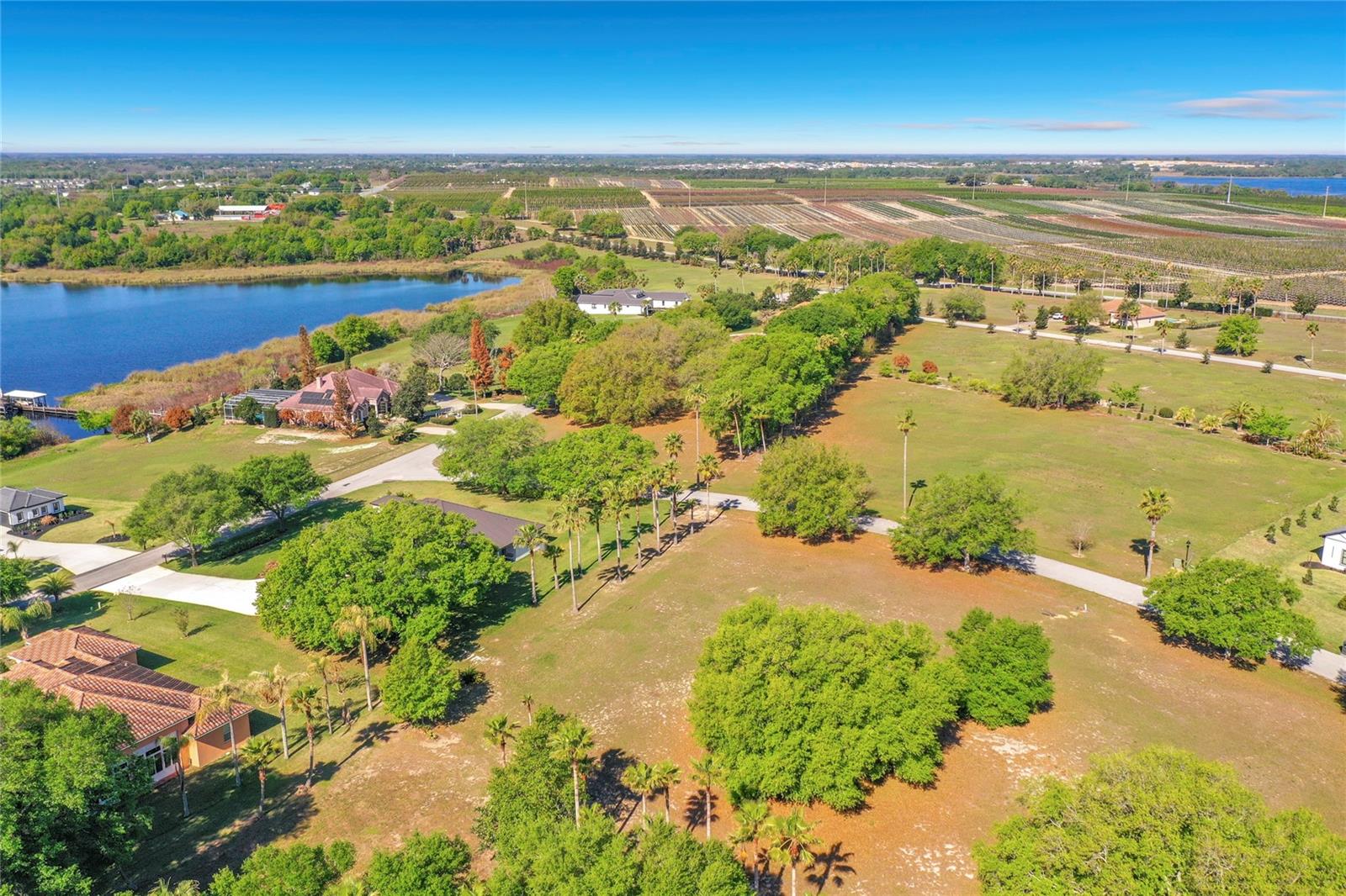 Image 9 of 30 For Marigold Street