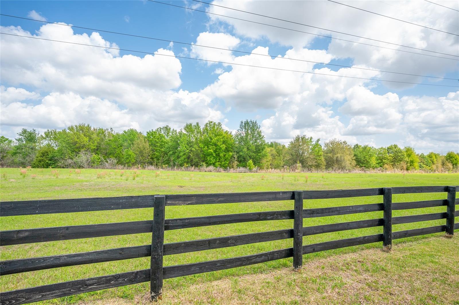 Image 3 of 12 For 1647 Campos Drive