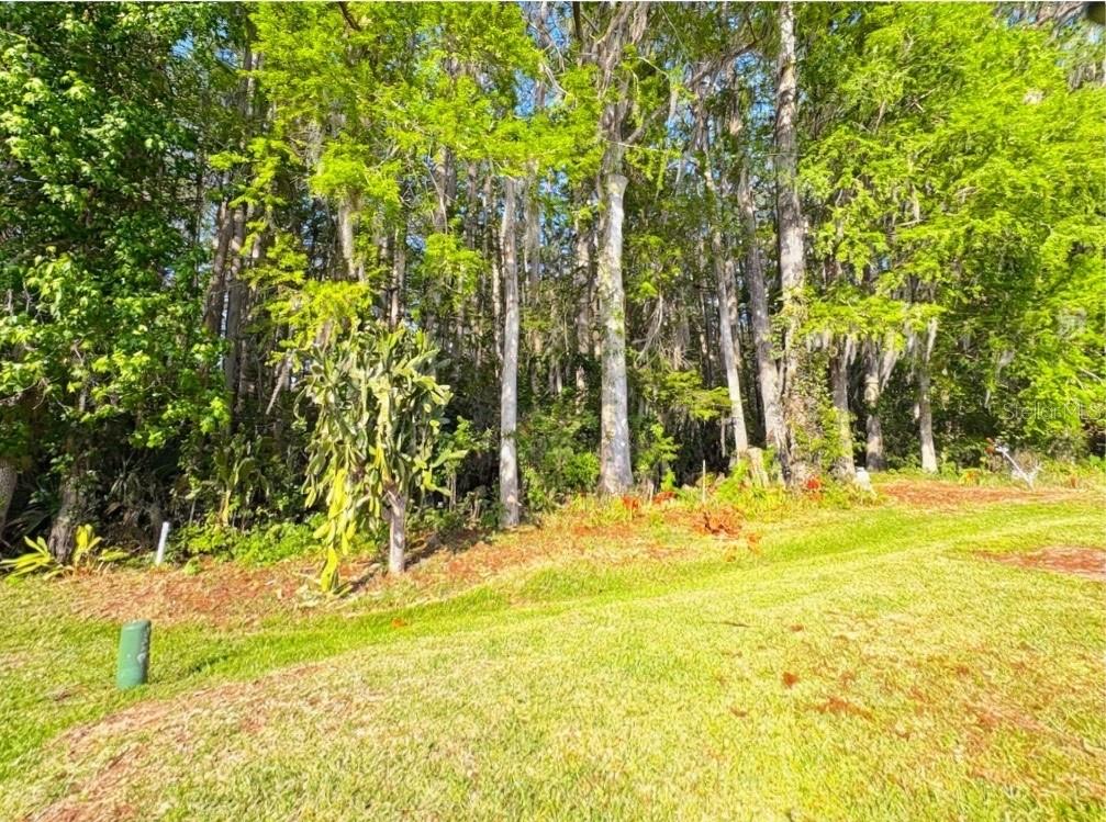 Image 23 of 24 For 710 Oak Boulevard