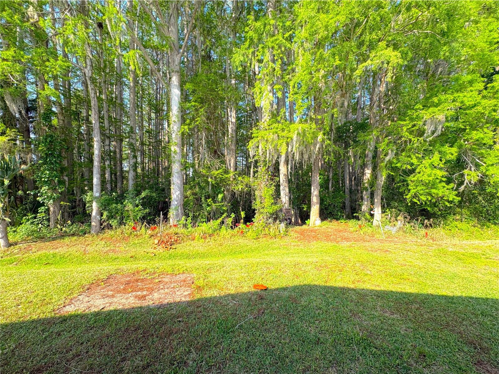 Image 24 of 24 For 710 Oak Boulevard