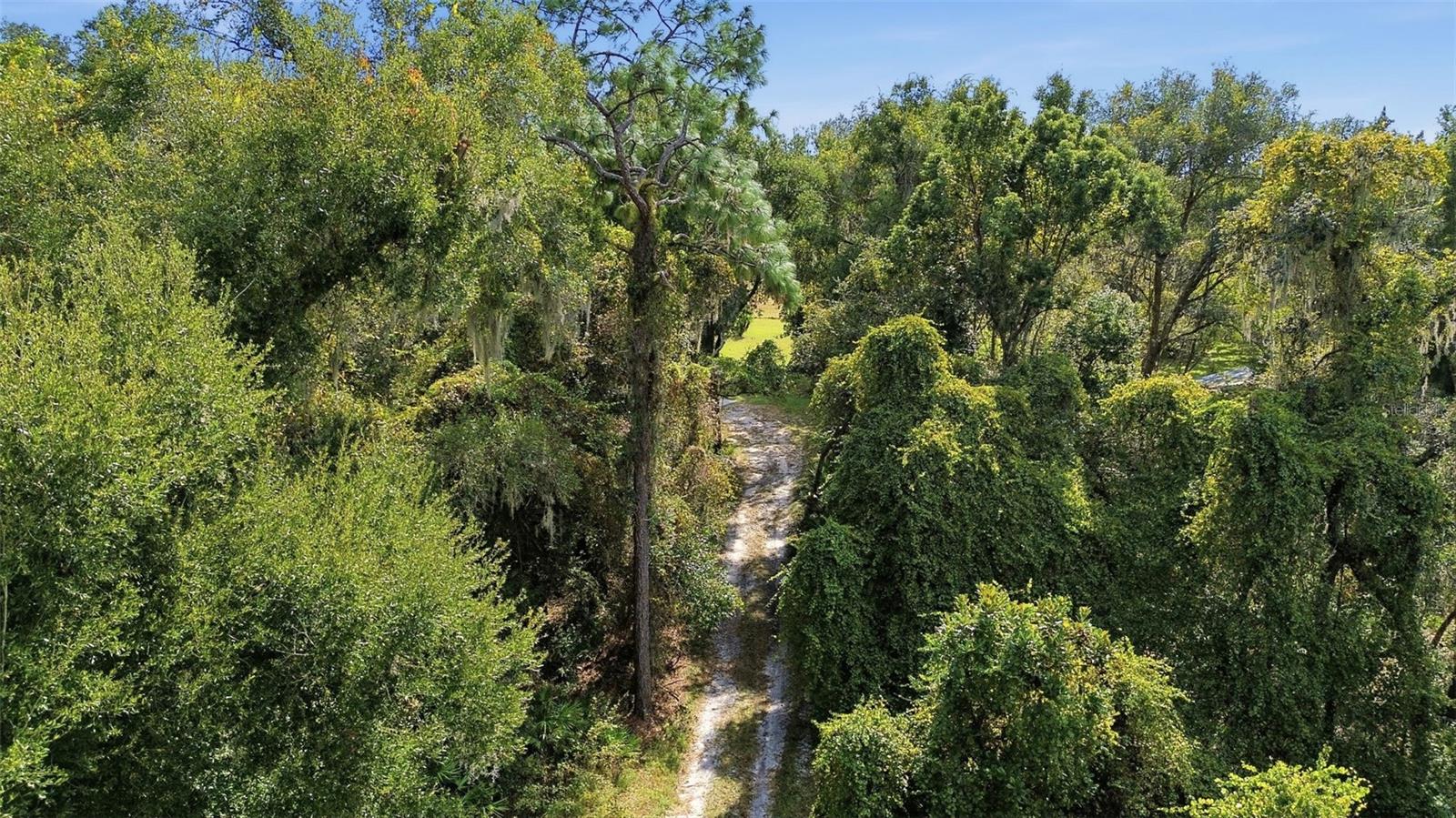 Image 3 of 29 For 5505 Cr 634s