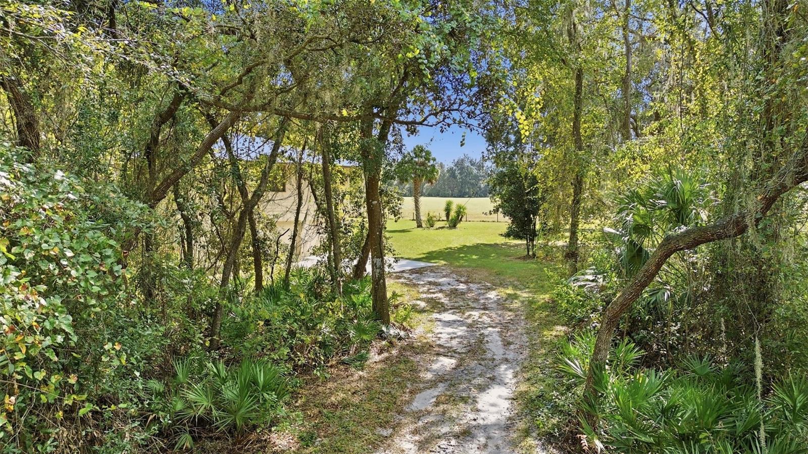 Image 8 of 29 For 5505 Cr 634s