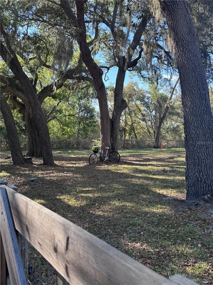 Image 31 of 51 For 10731 Libby Number 3 Road