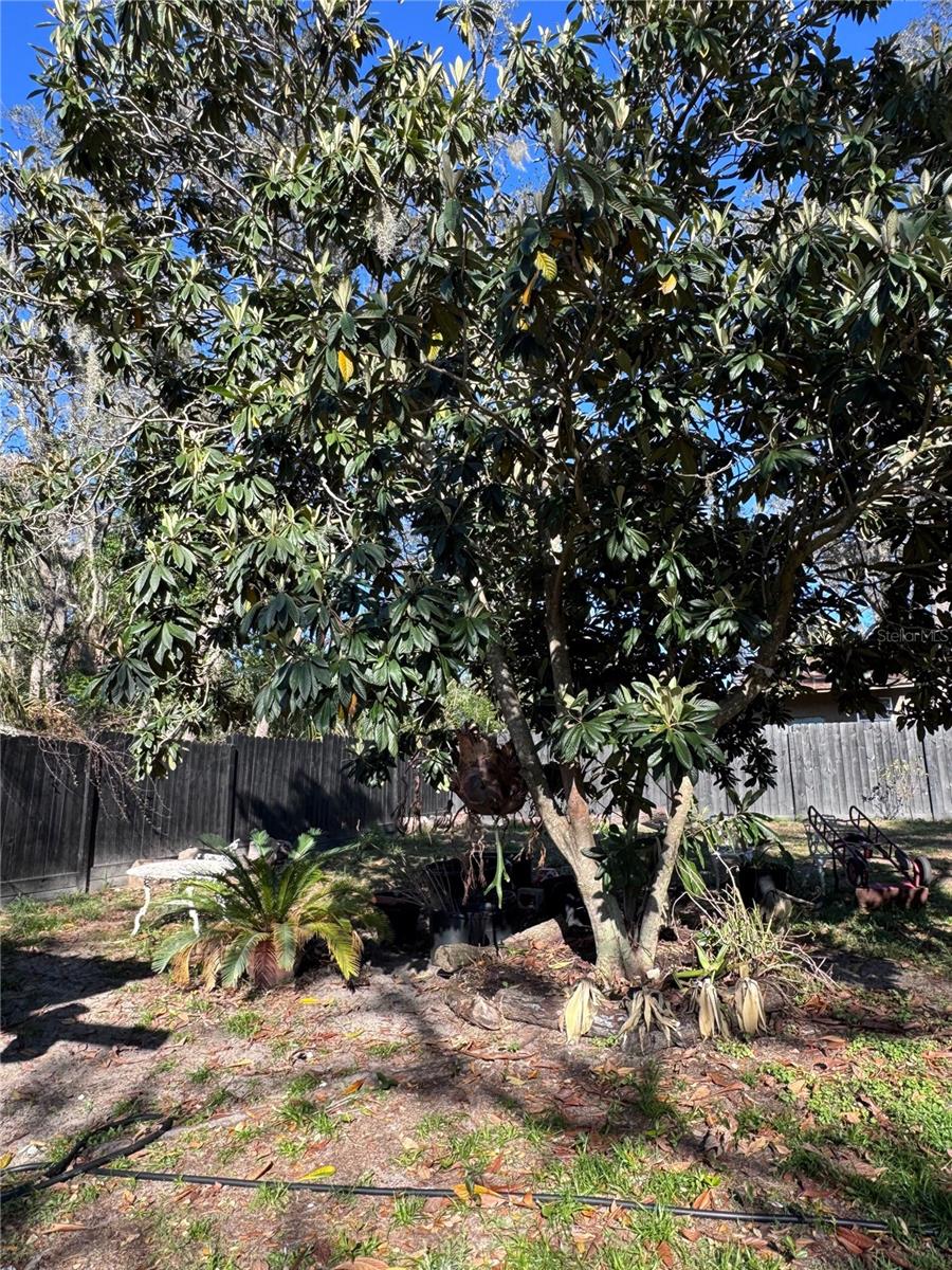 Image 49 of 51 For 10731 Libby Number 3 Road