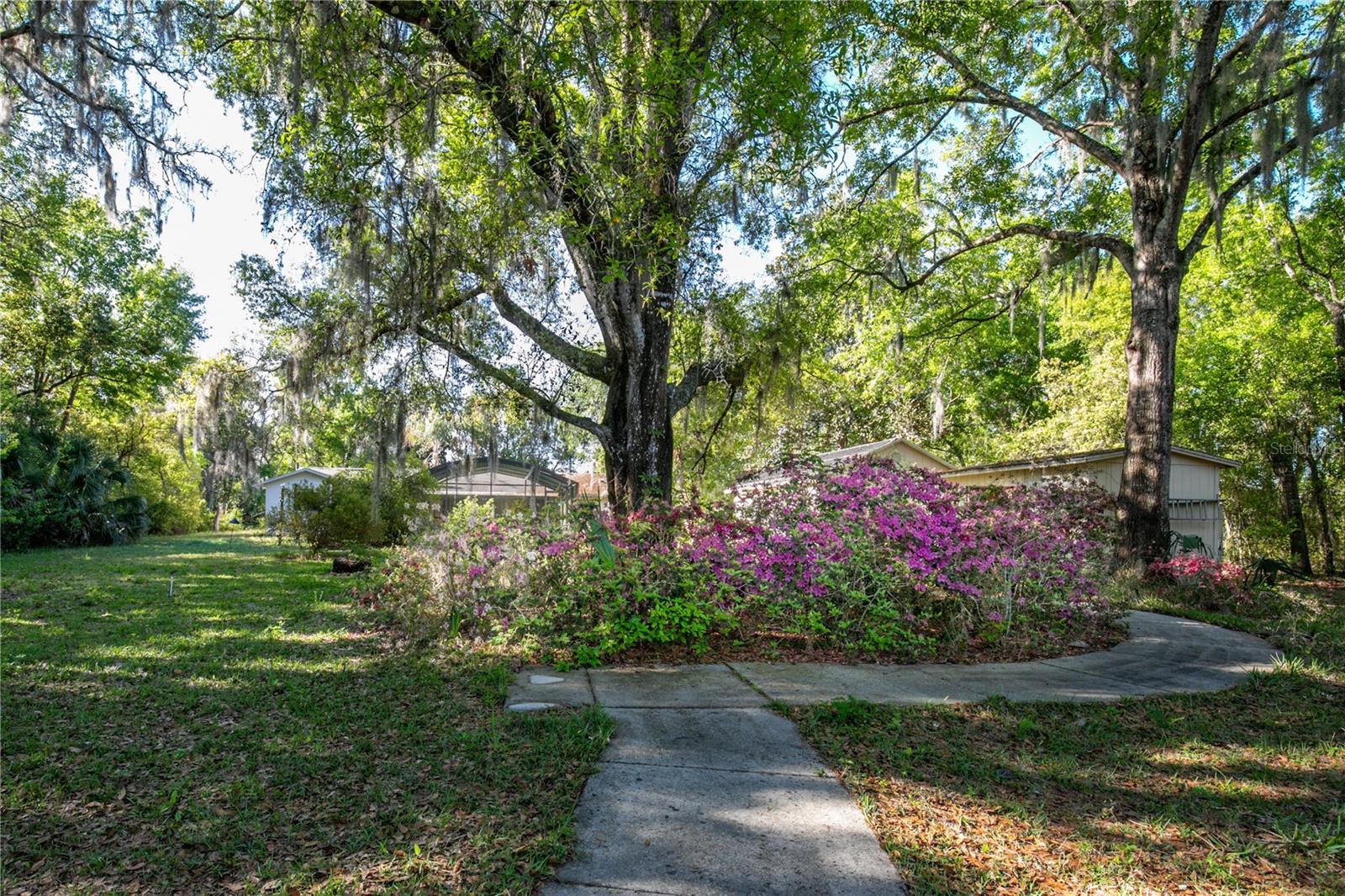 Image 41 of 56 For 11449 Ocklawaha Drive