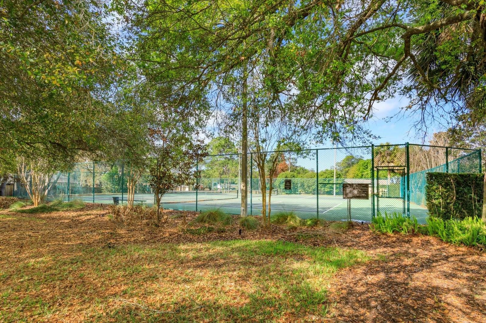 Image 43 of 44 For 9237 Sabal Palm Circle