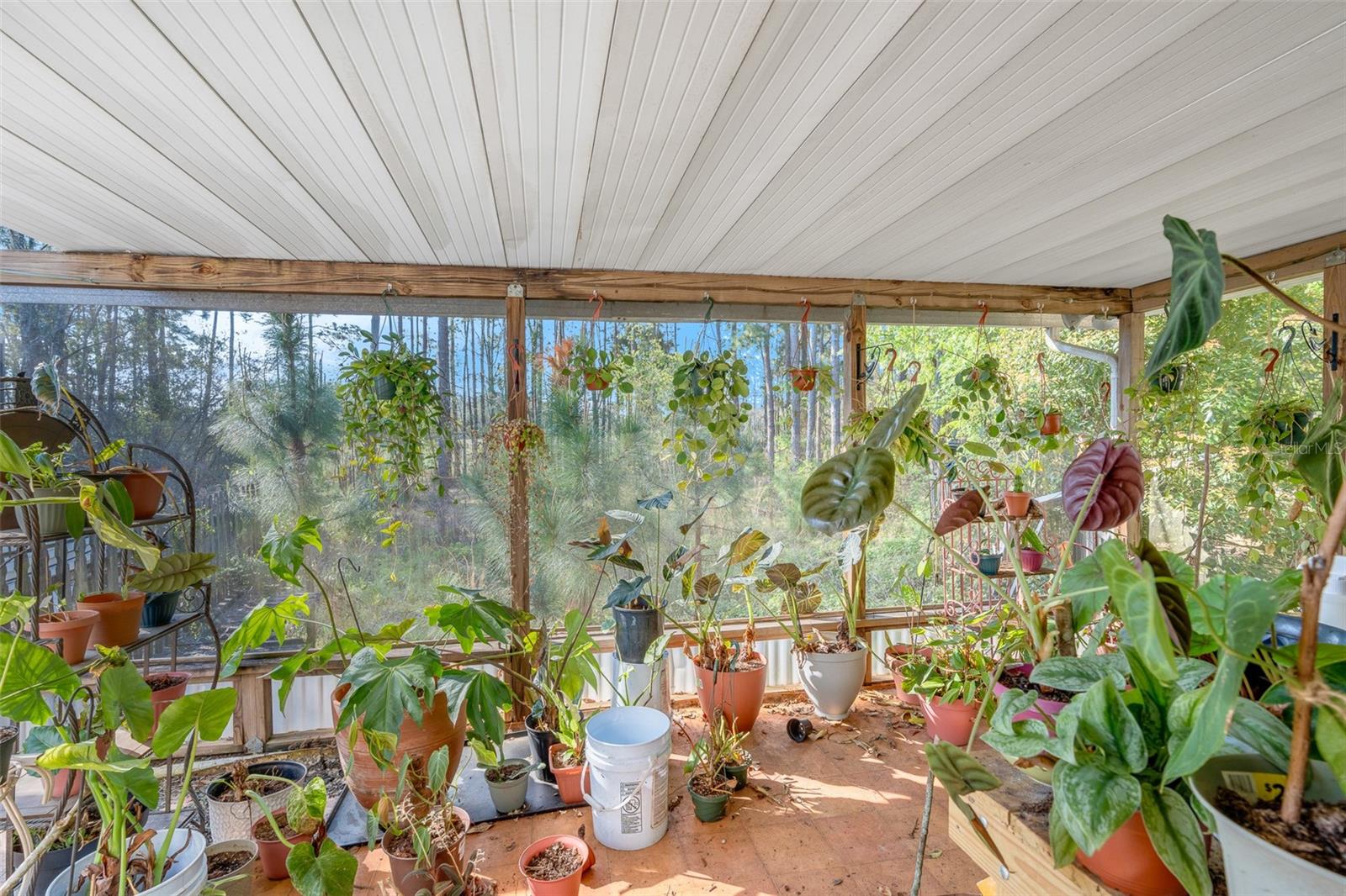 Image 12 of 41 For 32404 Highland Lakes Road