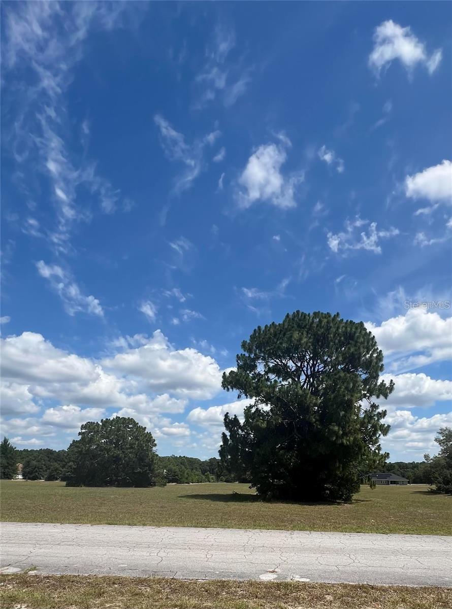 Image 5 of 7 For 105 Samuel Court