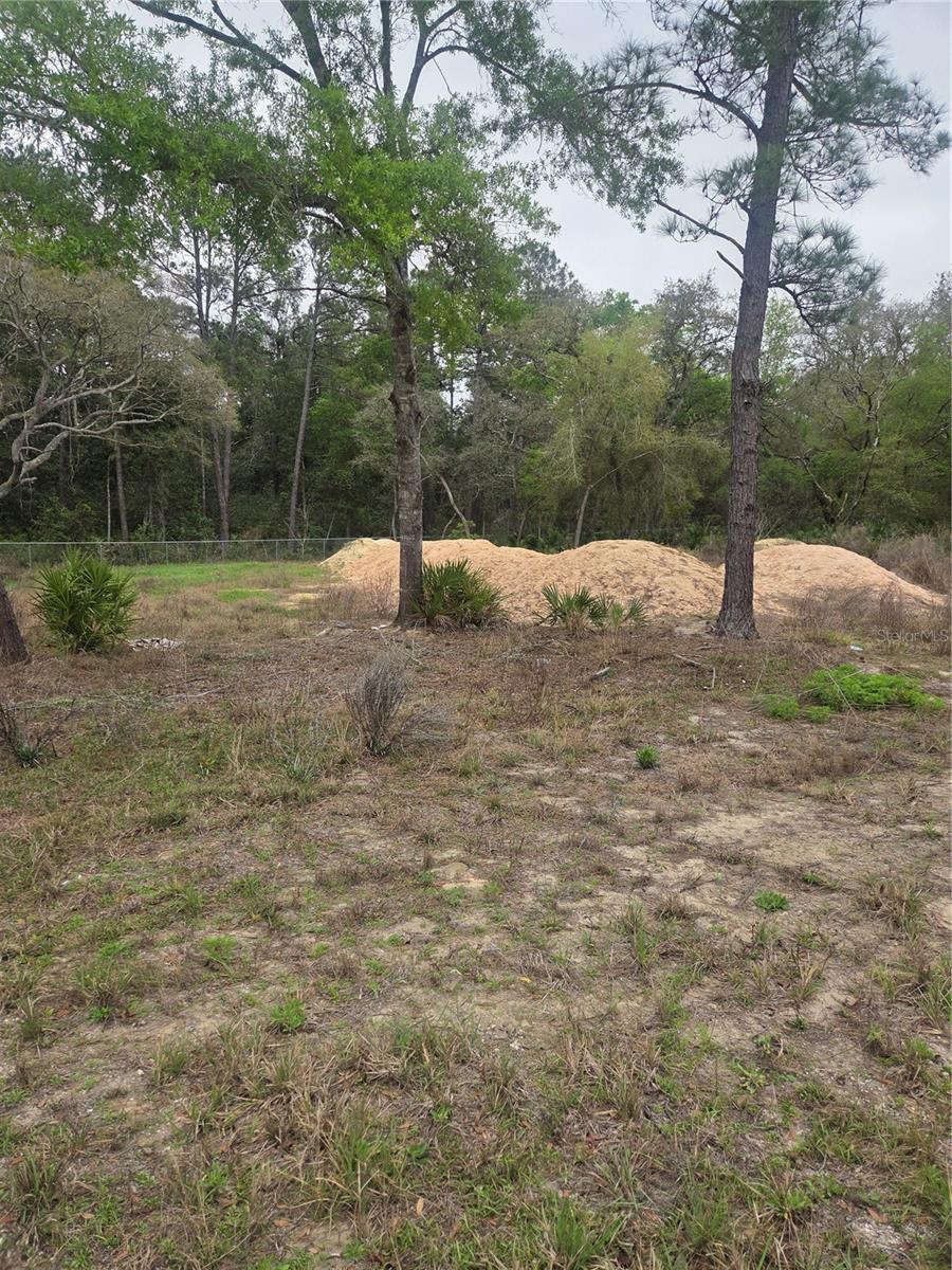 Image 3 of 11 For 127 Sequoia Trail