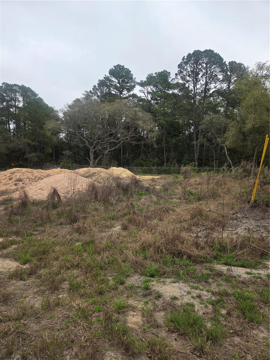 Image 4 of 11 For 127 Sequoia Trail