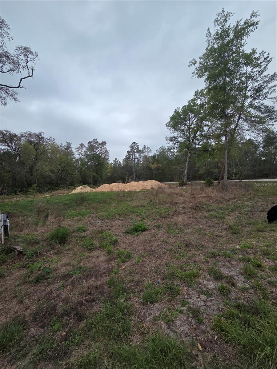 Image 7 of 11 For 127 Sequoia Trail