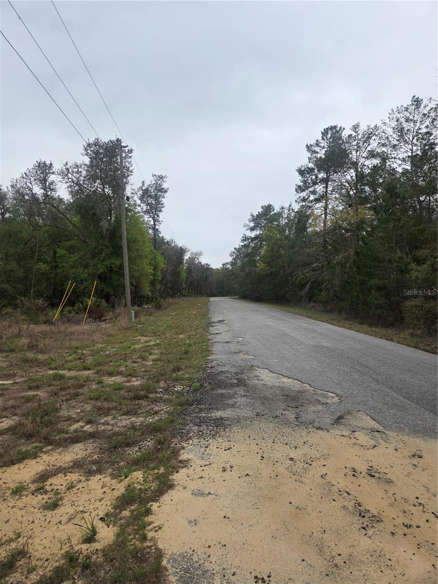 Image 8 of 11 For 127 Sequoia Trail