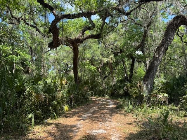 Image 8 of 31 For 2992 C 470  