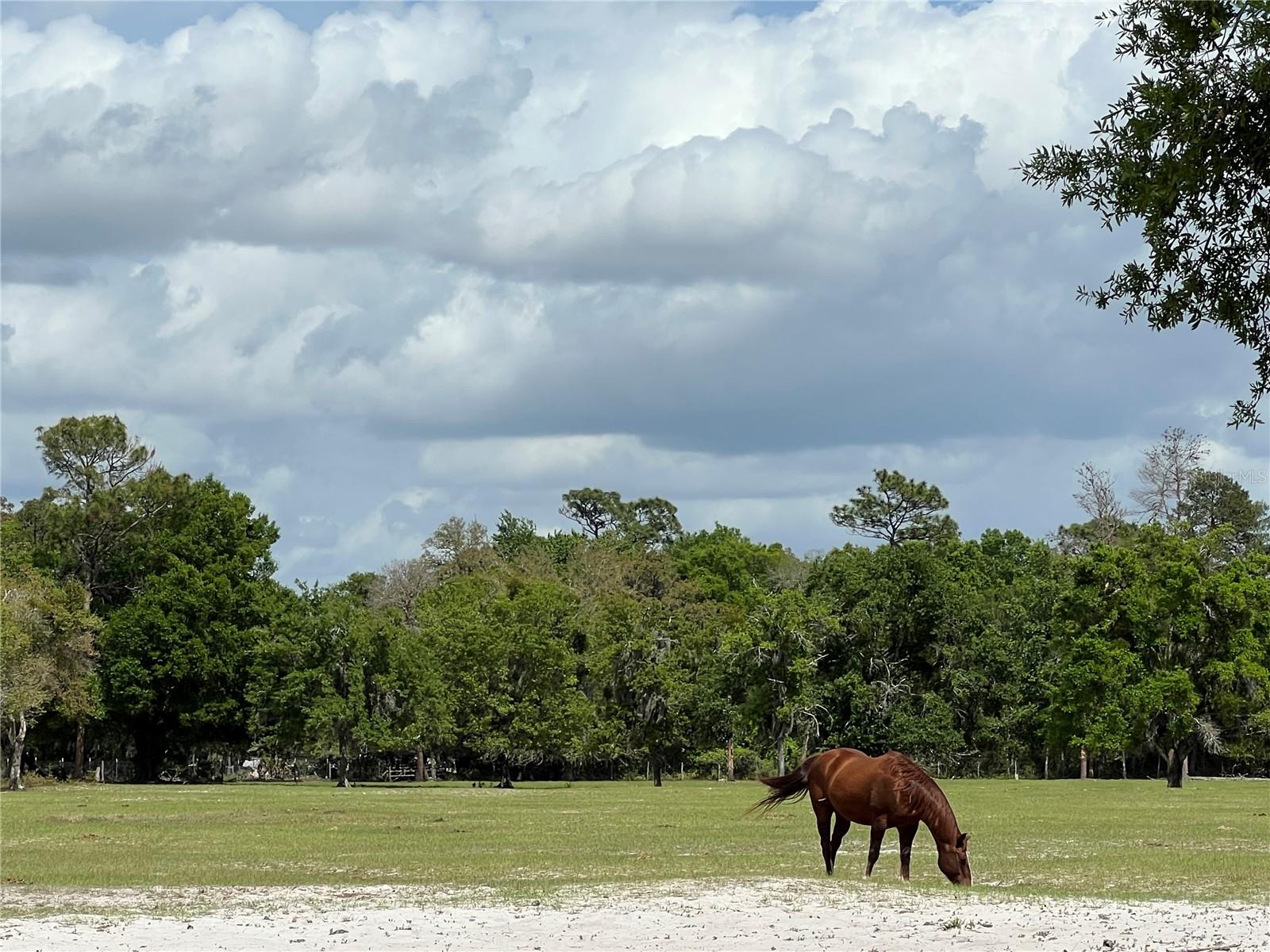 Image 14 of 28 For Winterwillow Lane