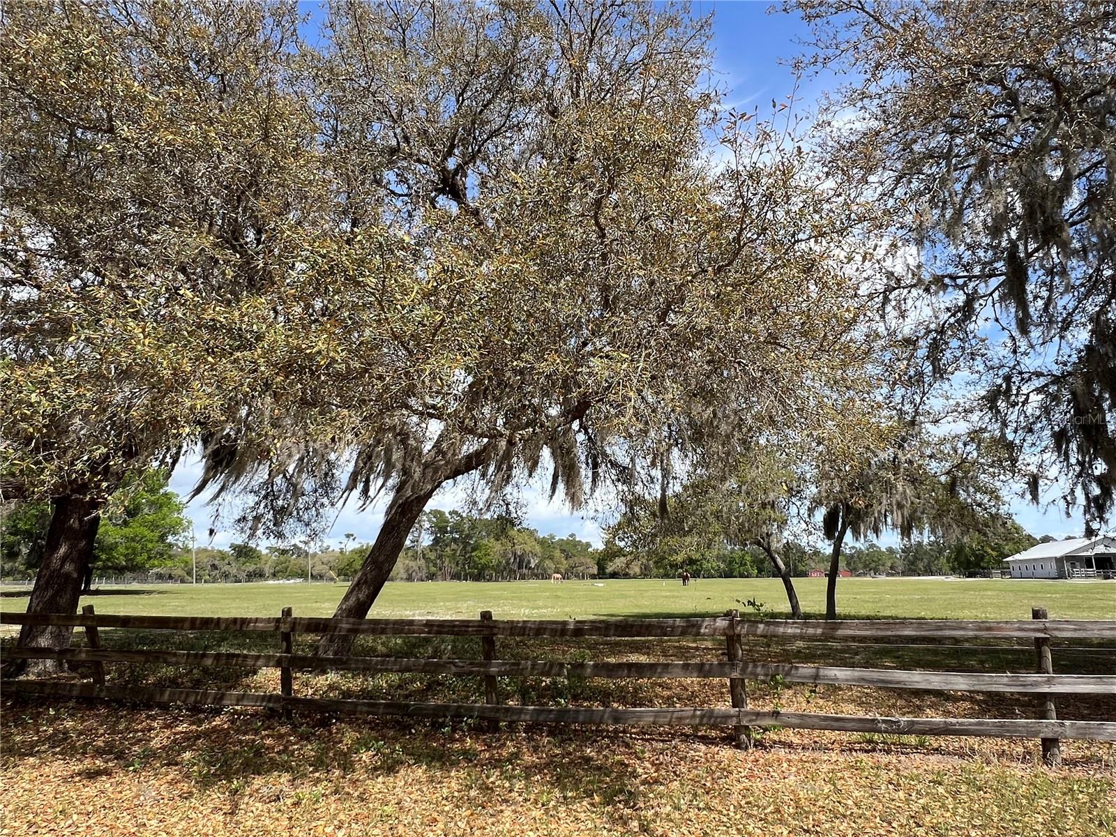 Image 16 of 28 For Winterwillow Lane