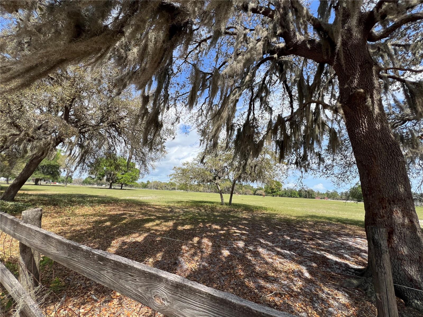 Image 25 of 28 For Winterwillow Lane