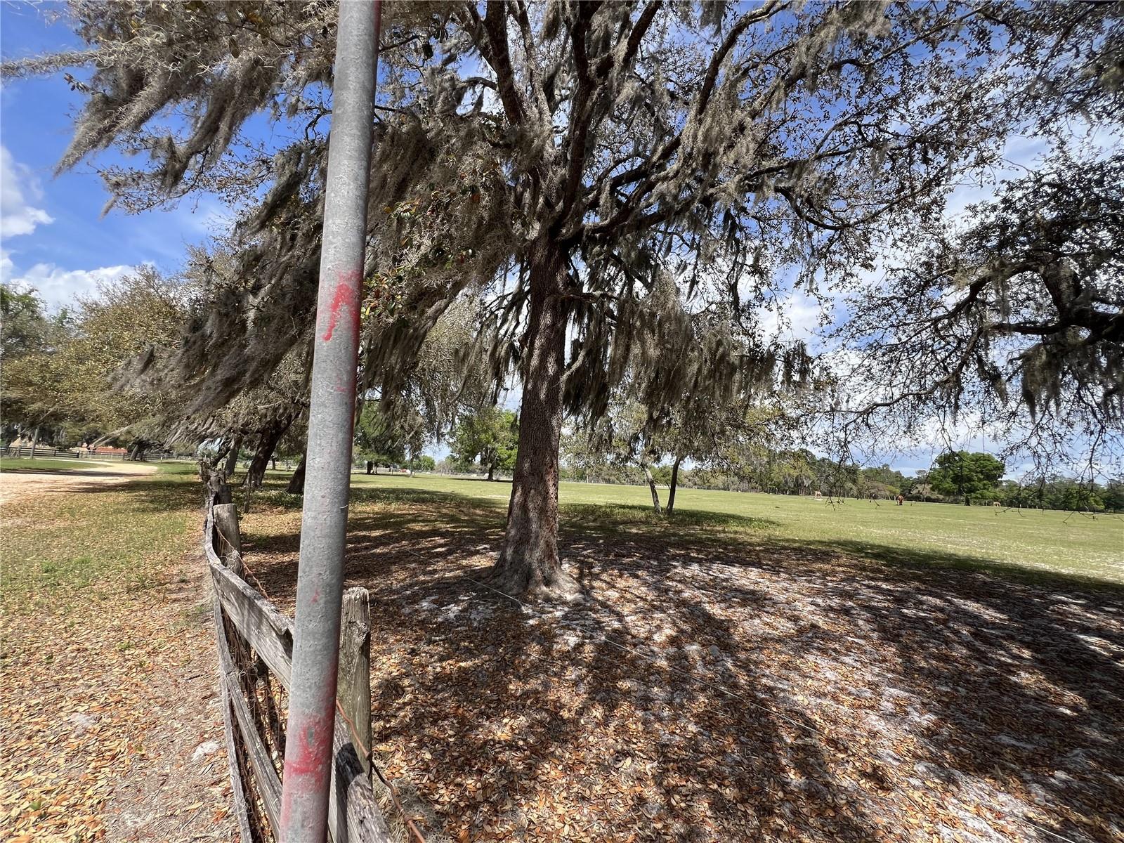 Image 6 of 28 For Winterwillow Lane