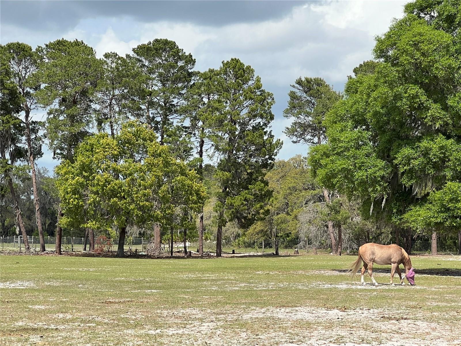 Image 8 of 28 For Winterwillow Lane