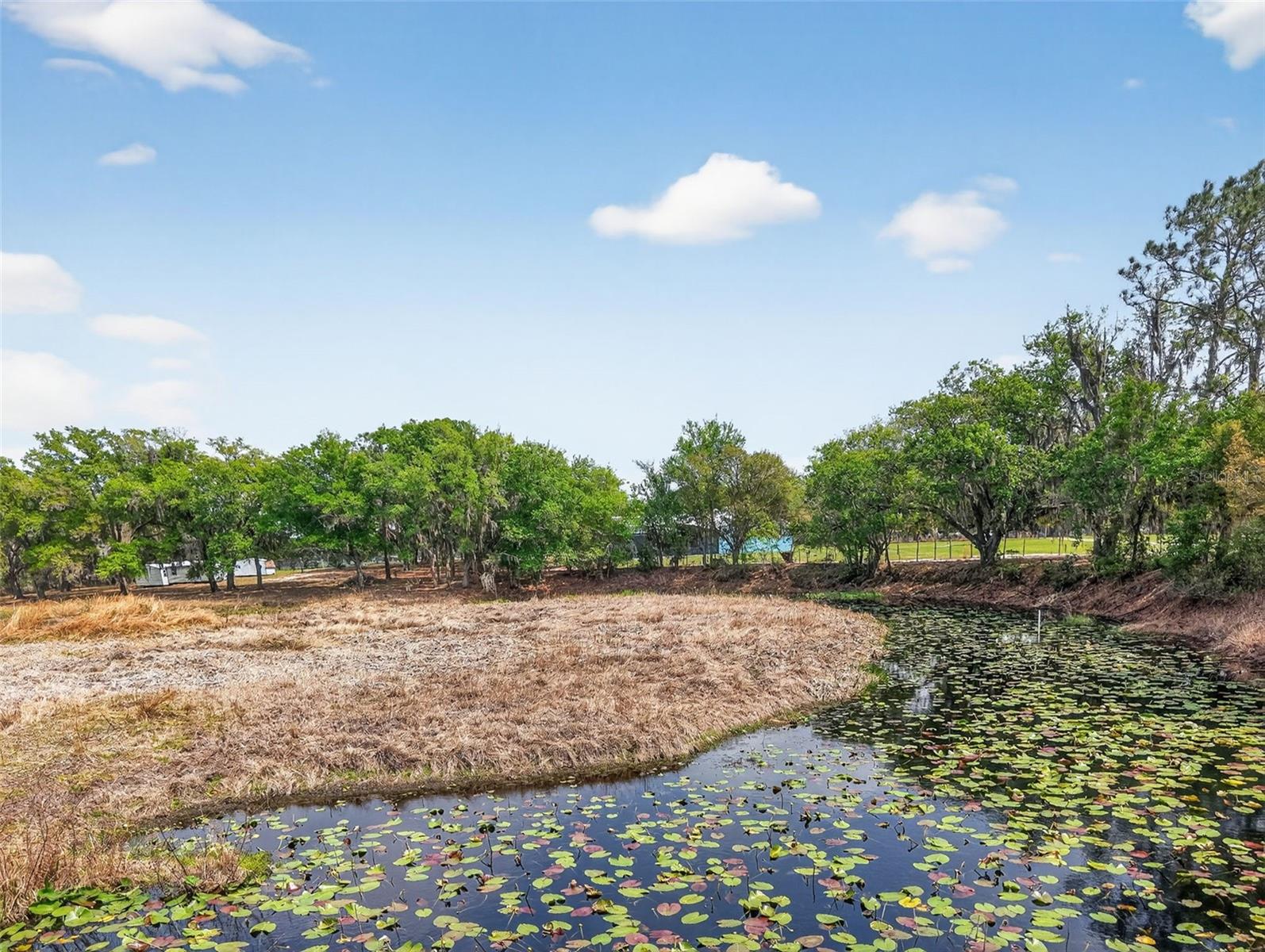 Image 31 of 32 For 22431 Loop Road