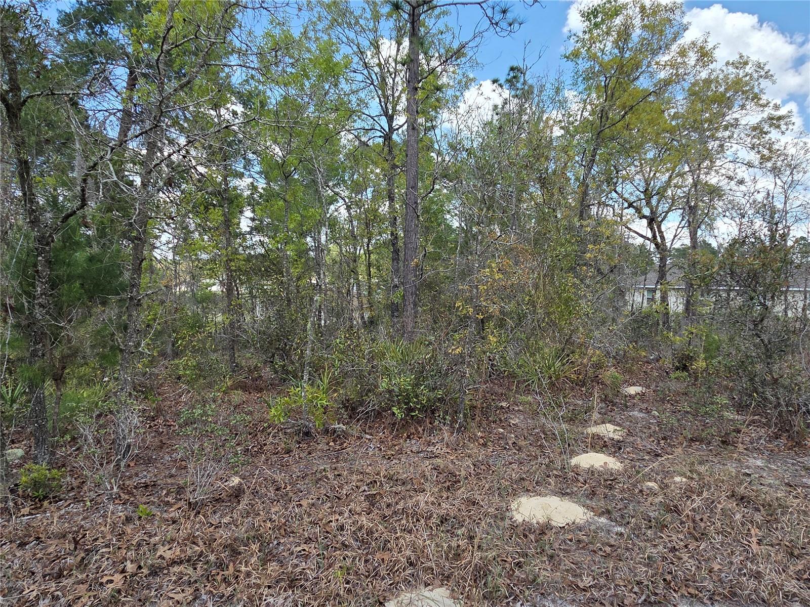 Image 3 of 5 For 139th Place Road