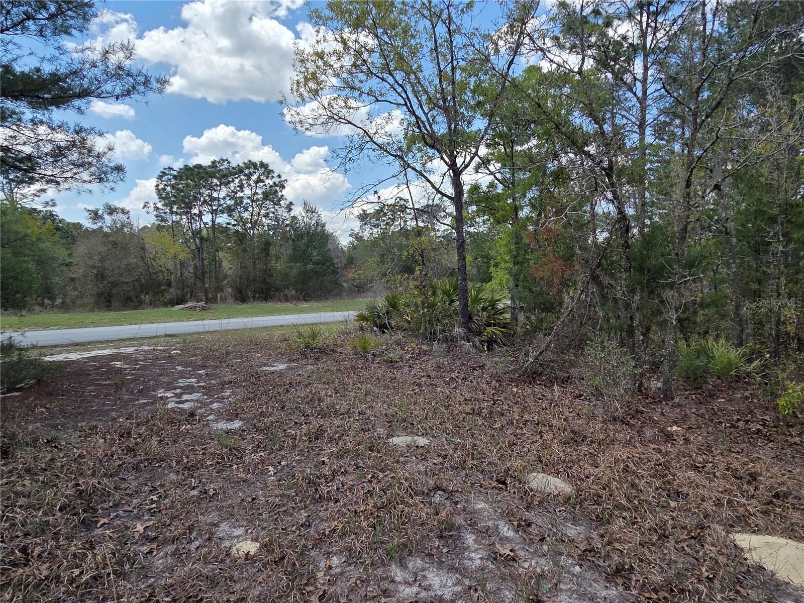 Image 4 of 5 For 139th Place Road