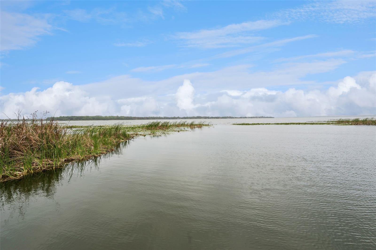 Image 52 of 62 For 2316 Griffin Drive