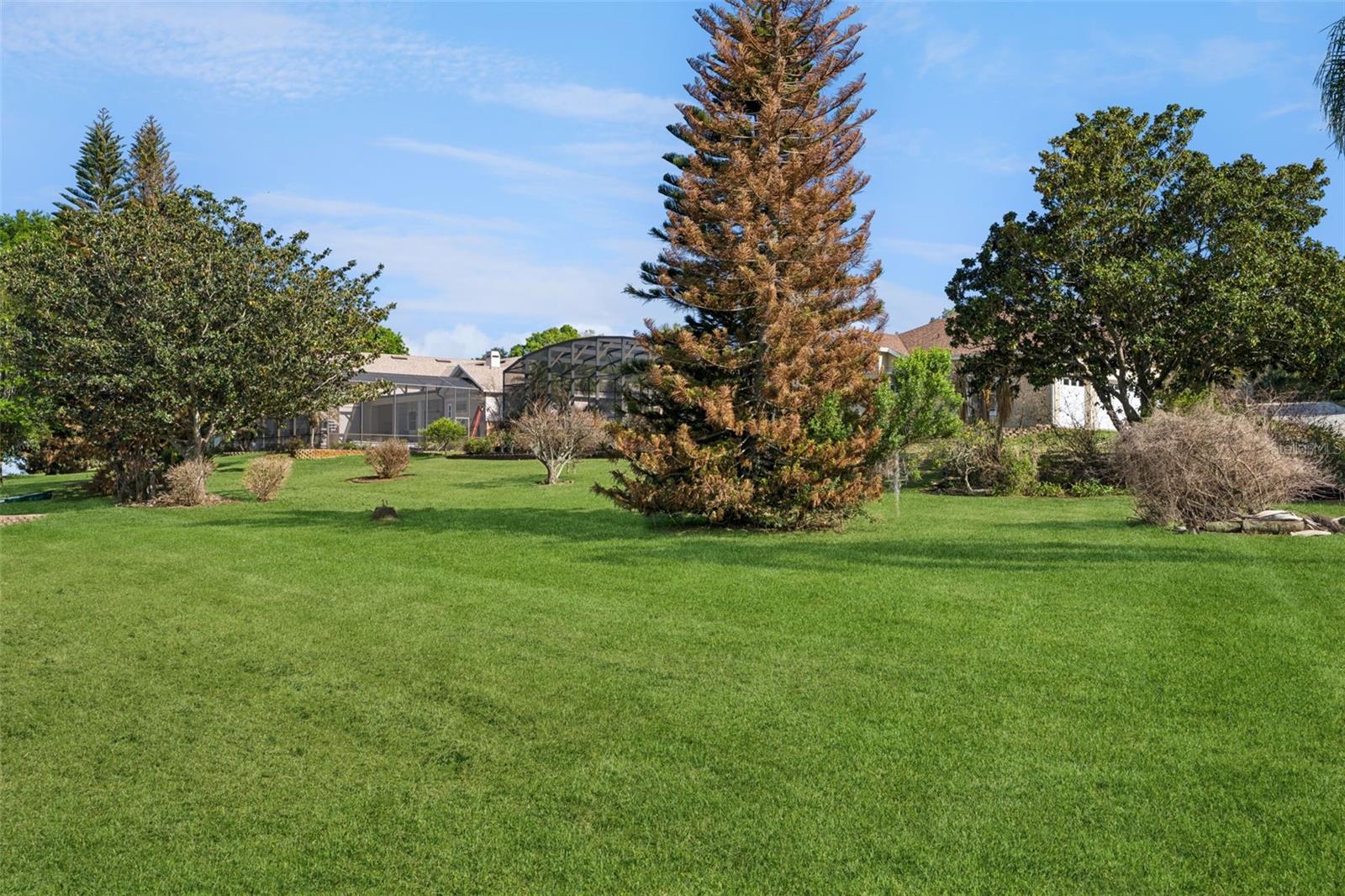 Image 78 of 82 For 16941 Magnolia Island Boulevard