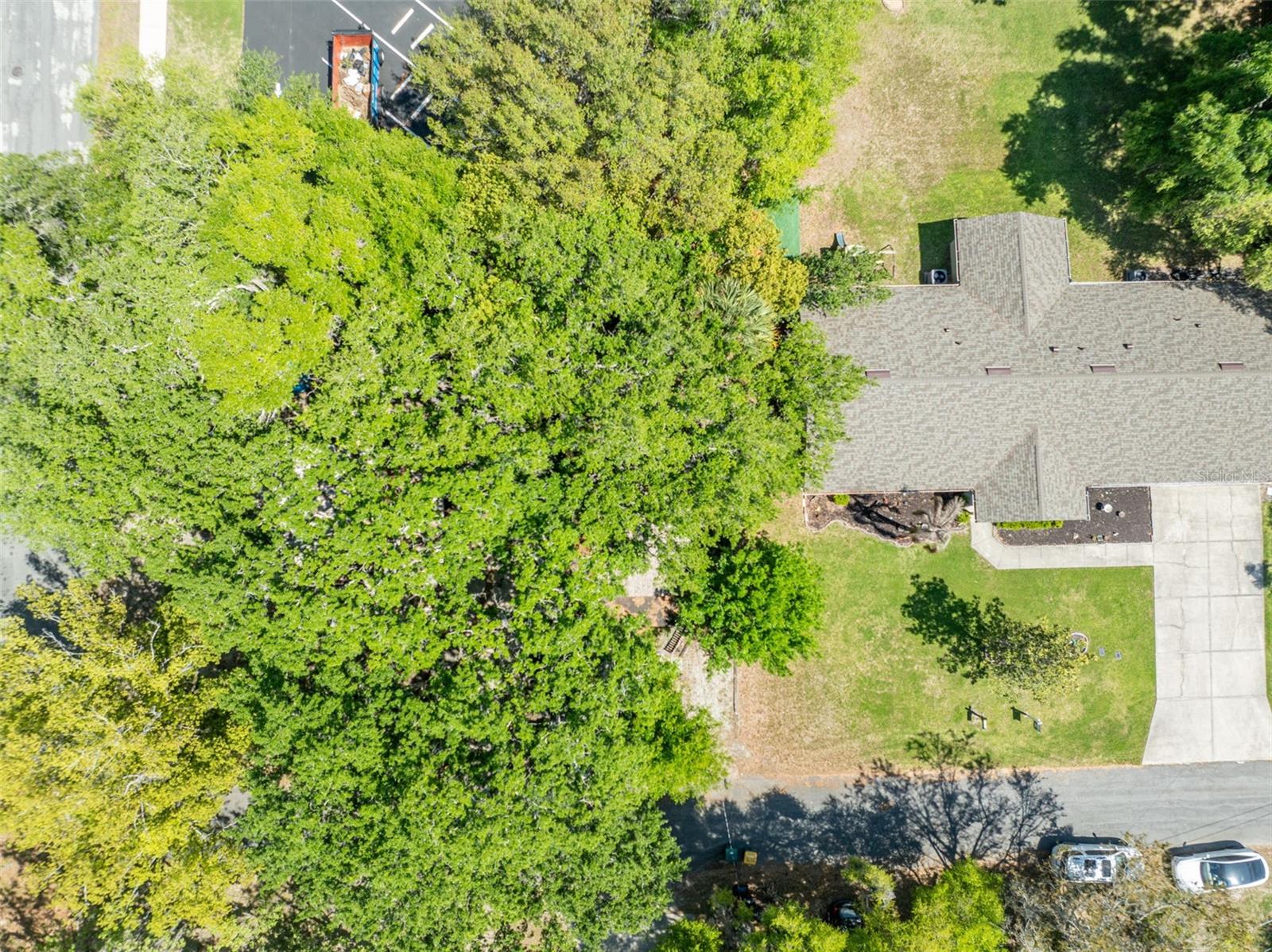 Image 25 of 53 For 140 Johns Street