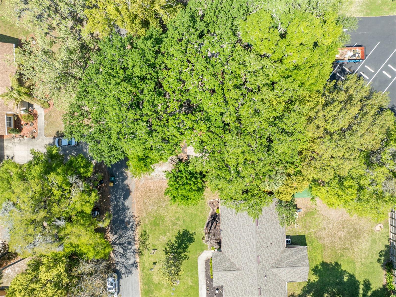 Image 26 of 53 For 140 Johns Street