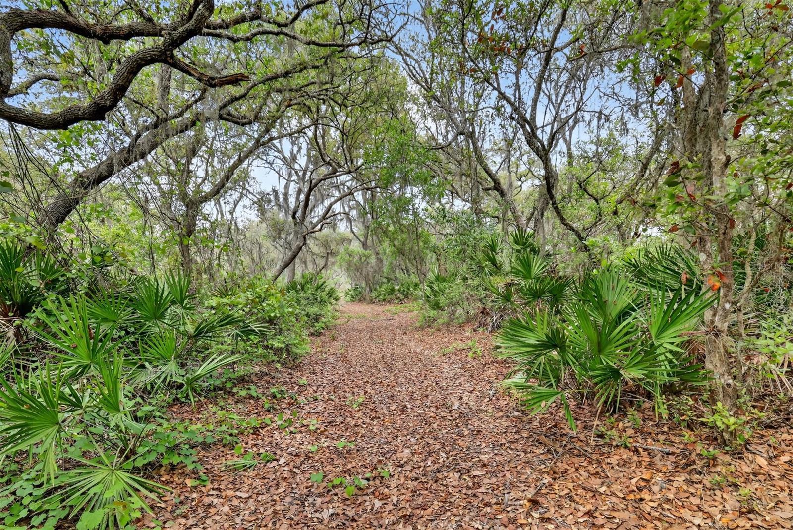 Image 23 of 37 For 36707 County Road 439