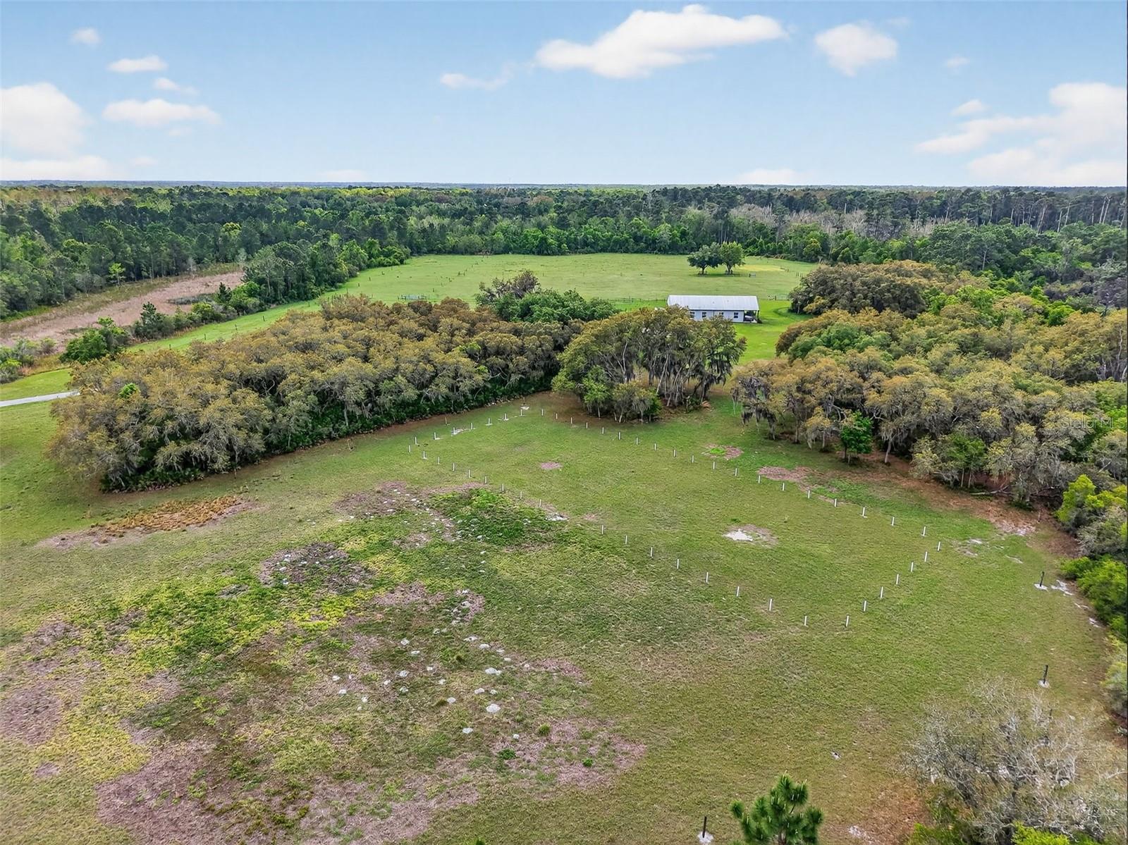 Image 26 of 37 For 36707 County Road 439