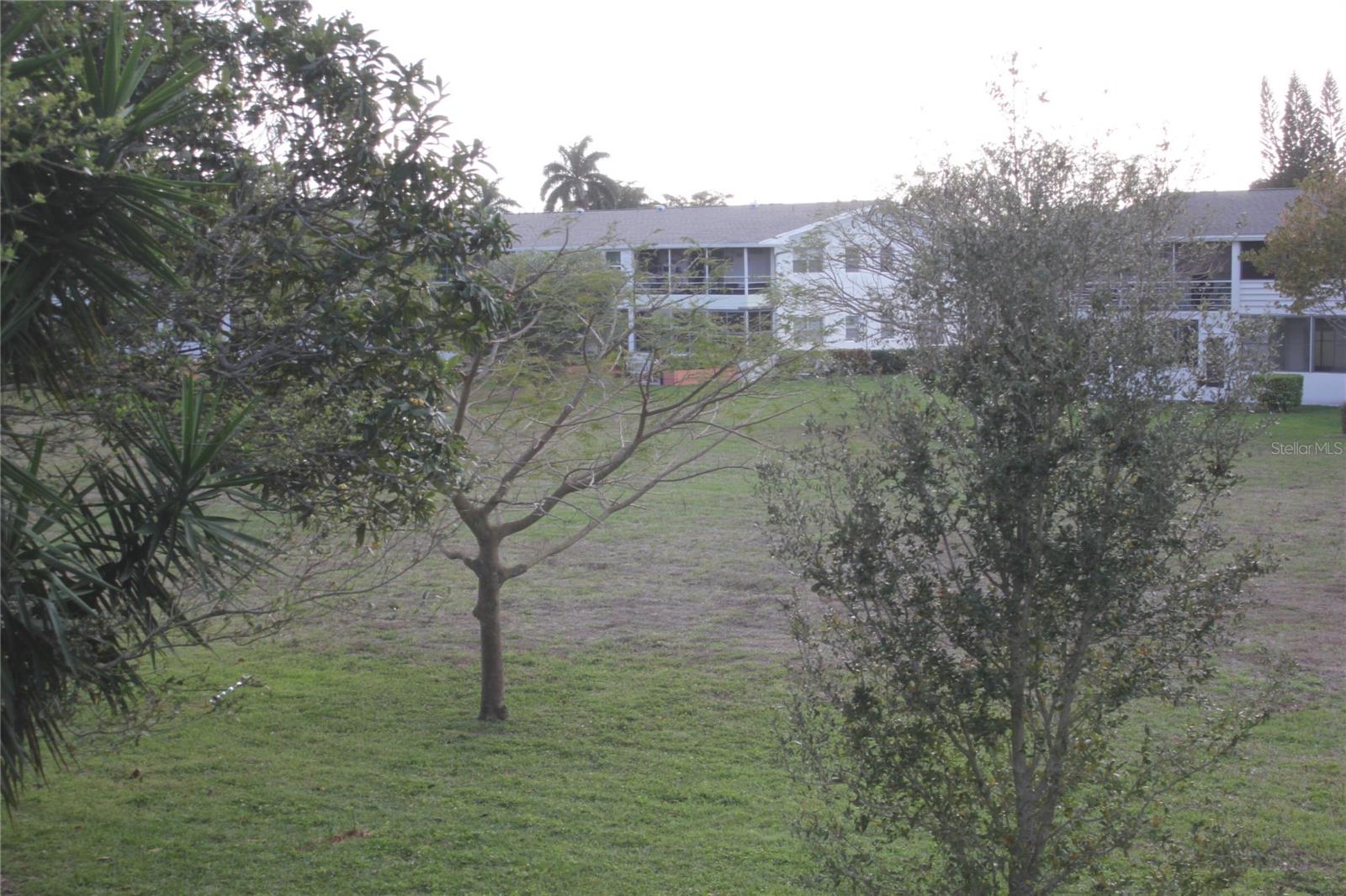 Image 32 of 33 For 133 Berkshire  133