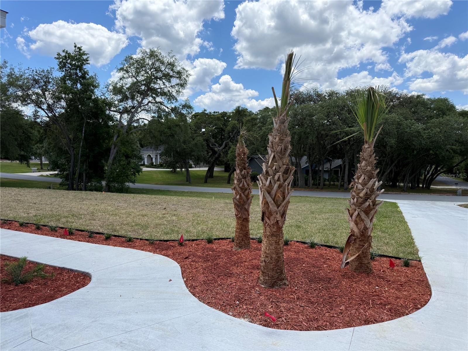 Image 43 of 66 For 421 Chase Street