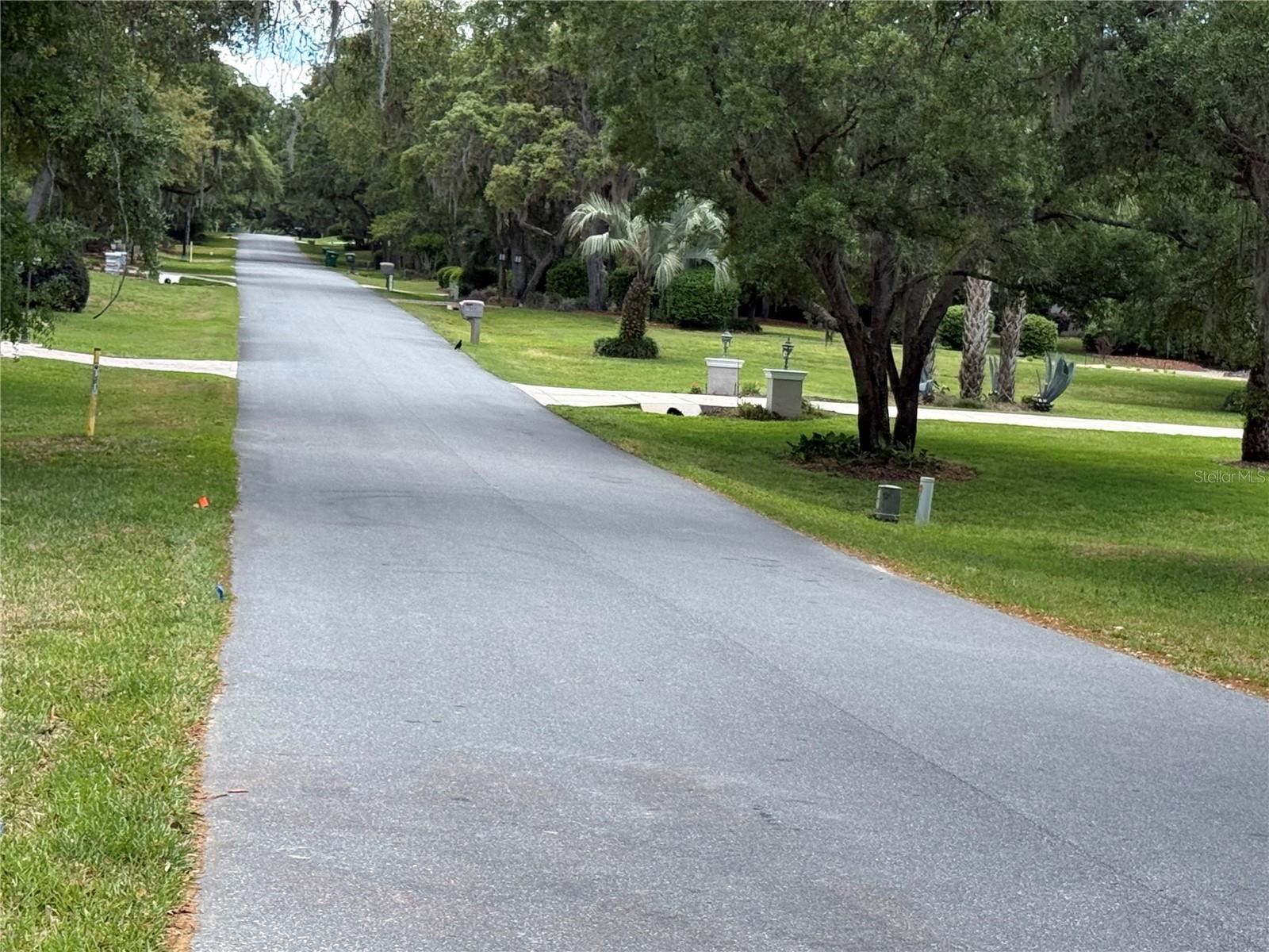 Image 64 of 66 For 421 Chase Street