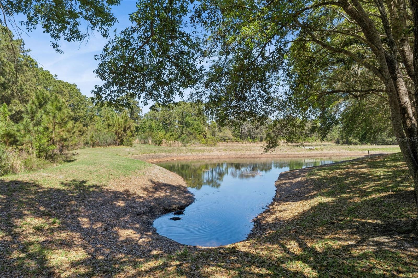 Image 49 of 61 For 110 Orange Cosmos Boulevard