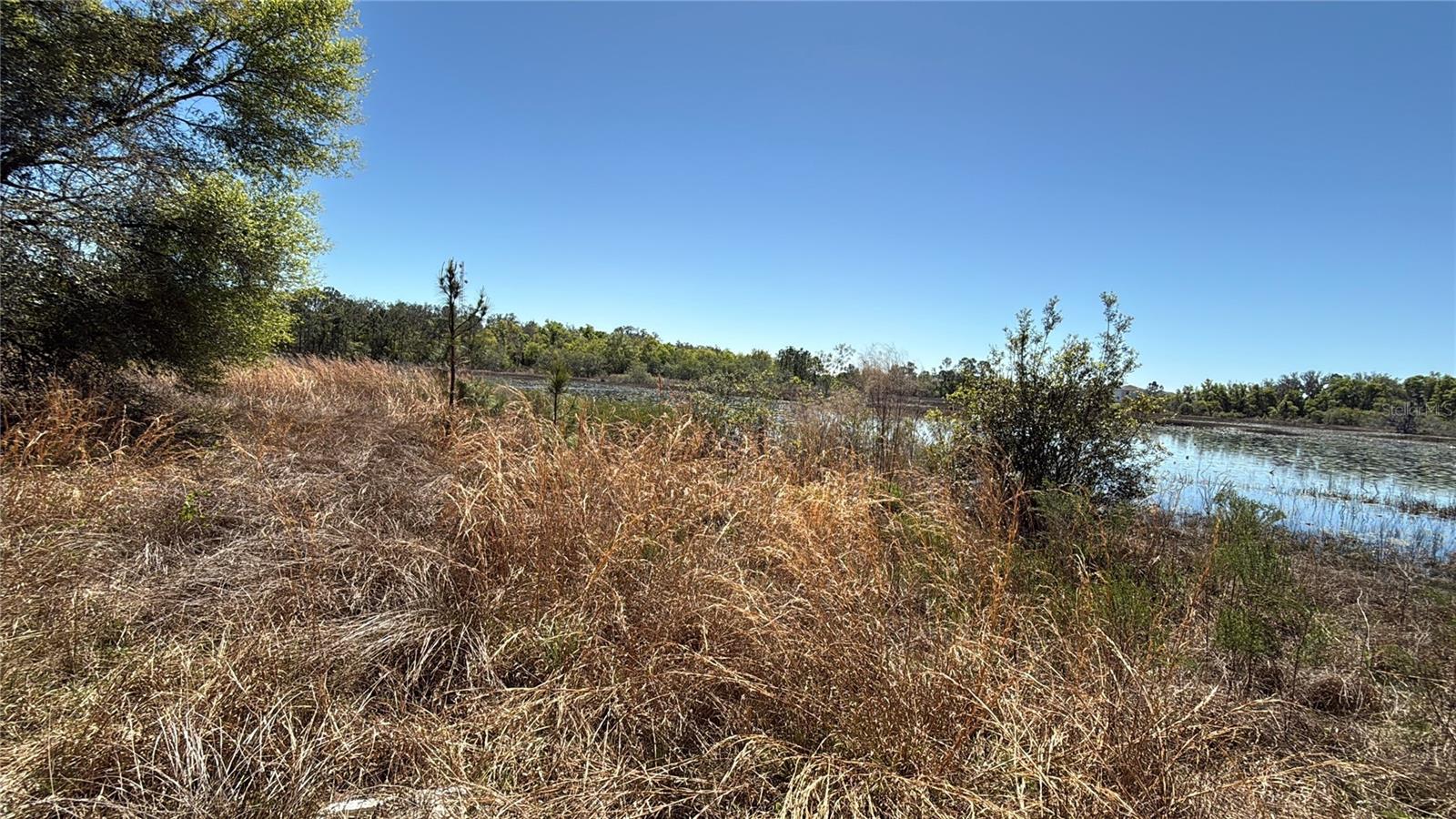 Image 13 of 45 For 9844 Poe Street