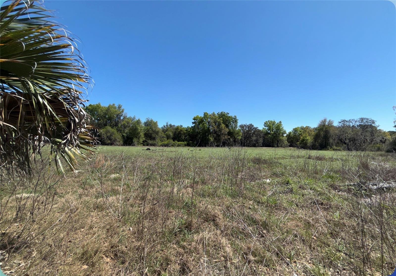 Image 18 of 45 For 9844 Poe Street