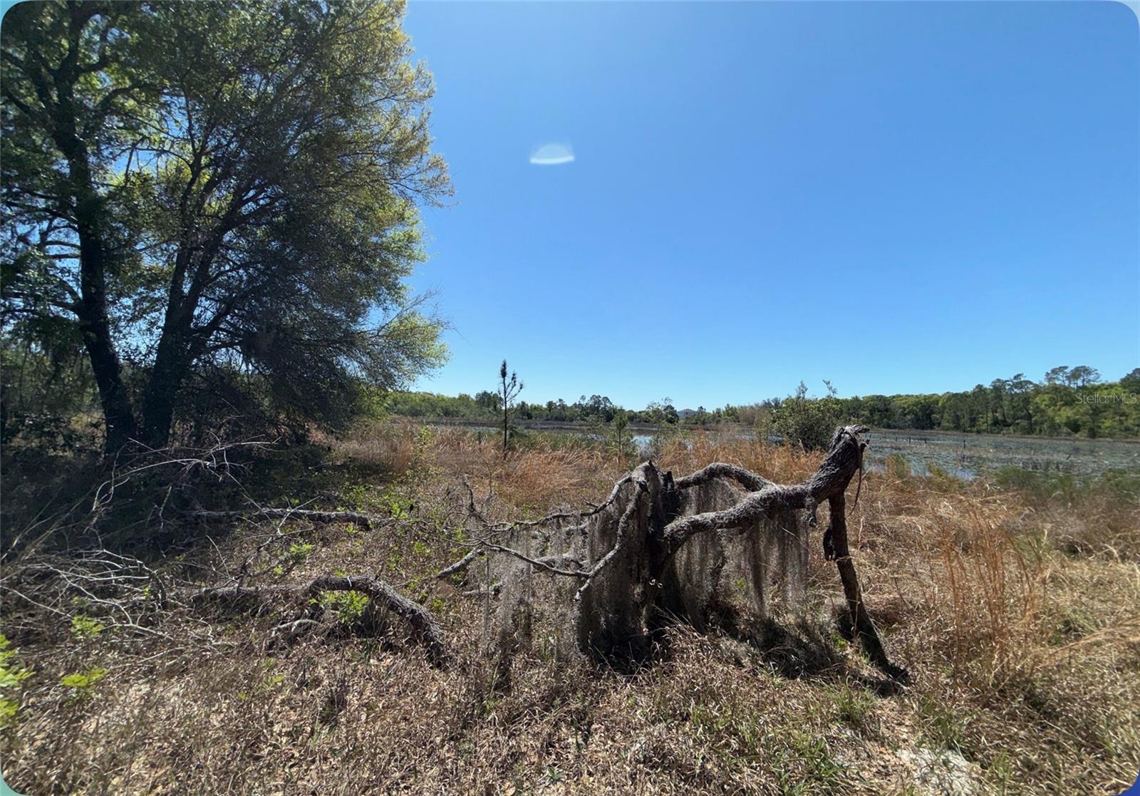 Image 33 of 45 For 9844 Poe Street