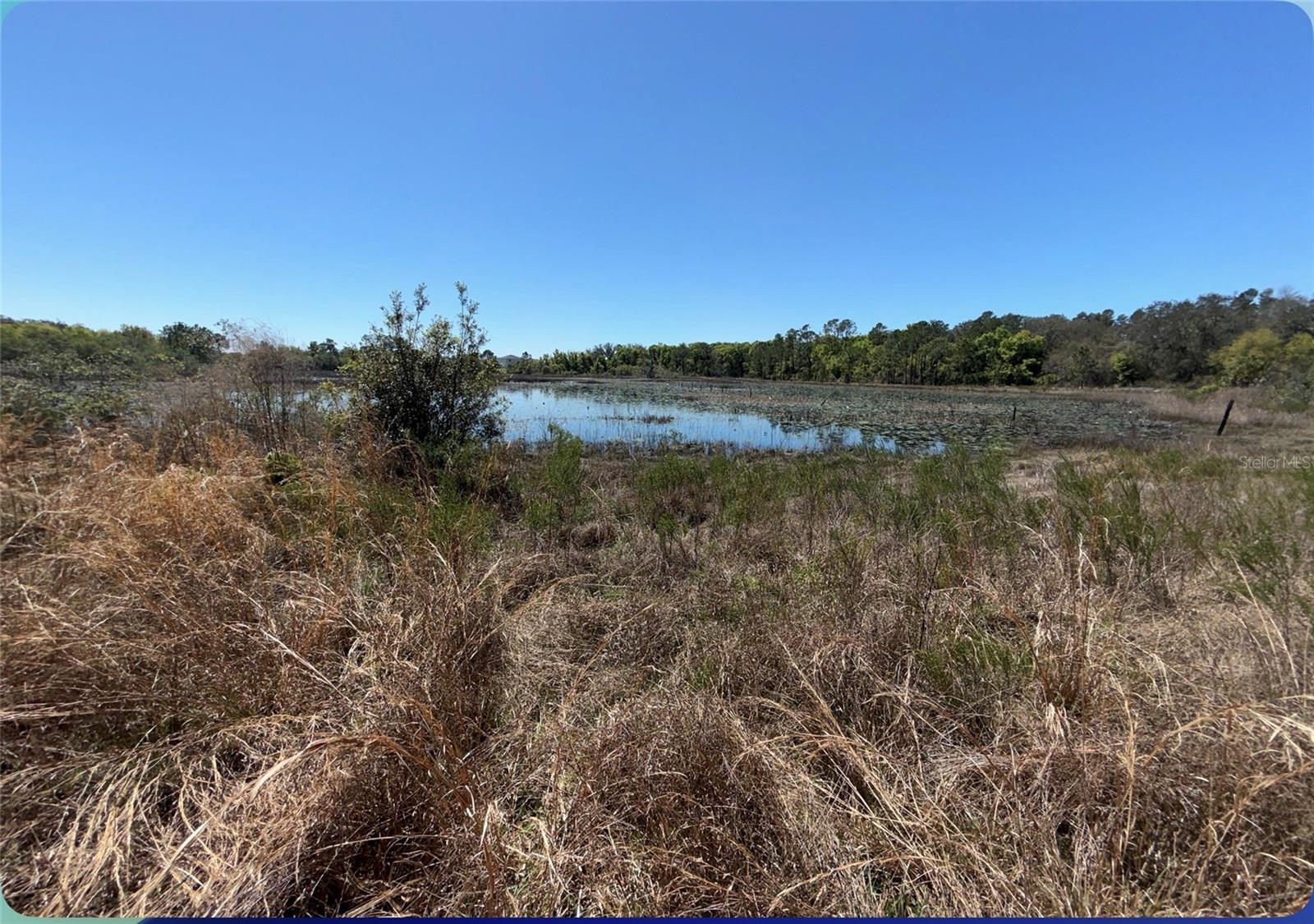 Image 34 of 45 For 9844 Poe Street