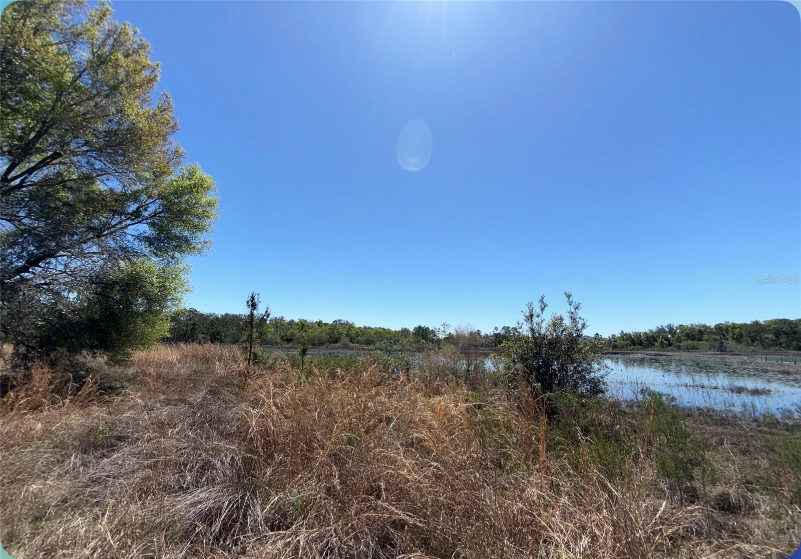 Image 35 of 45 For 9844 Poe Street