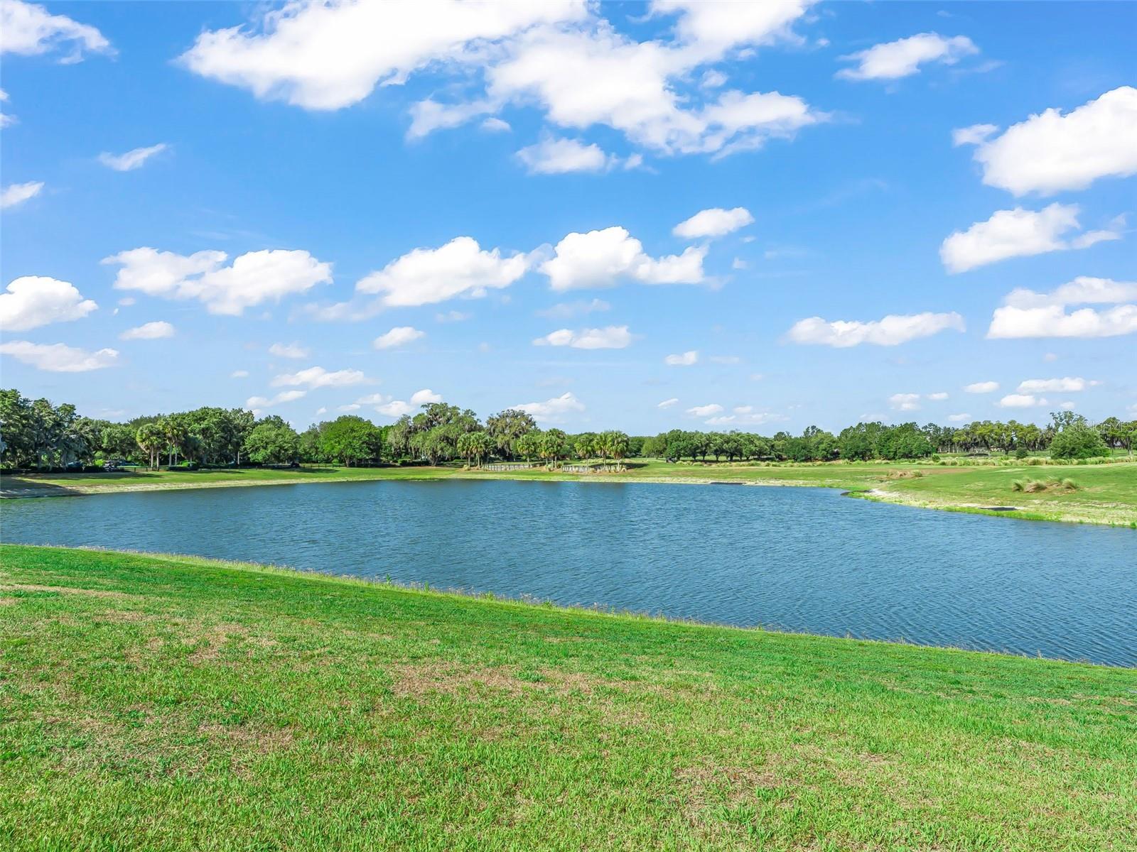 Image 65 of 86 For 1477 Blease Loop