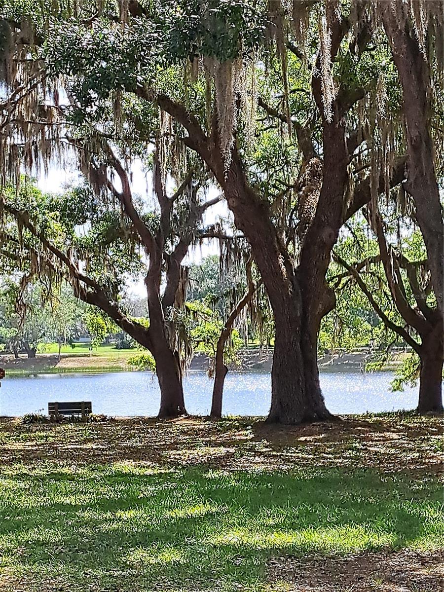 Image 26 of 29 For 5618 Rosewall Circle