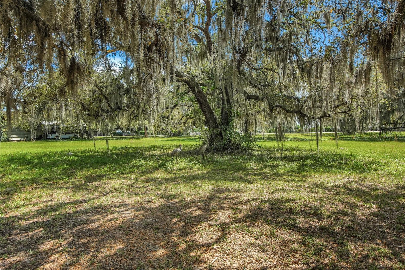 Image 9 of 62 For 2218 Orkney Drive