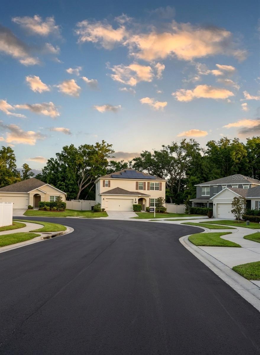 Details for 3609 Crimson Clover Drive, MOUNT DORA, FL 32757