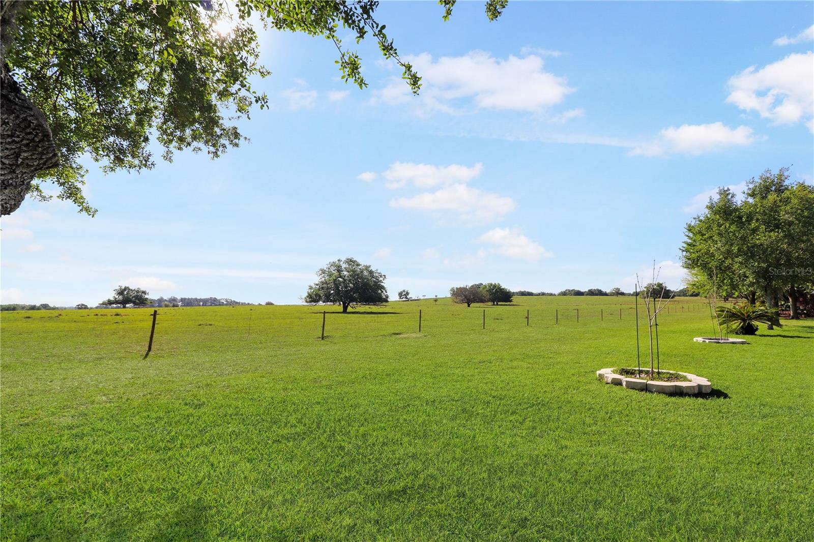 Image 27 of 48 For 20846 Queen Alexandra Drive